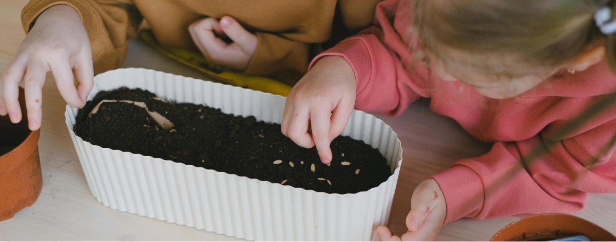 For Kids: Investing