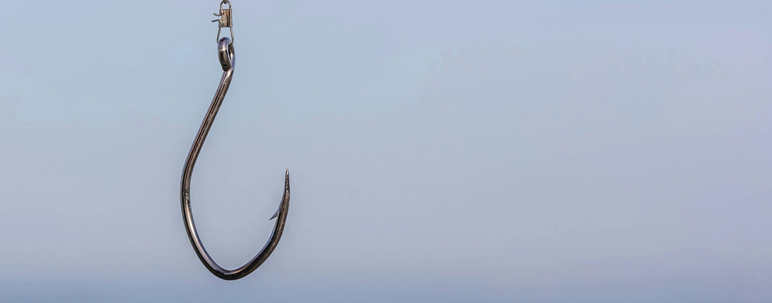 Don’t Take the Bait: Avoiding Phishing Scams