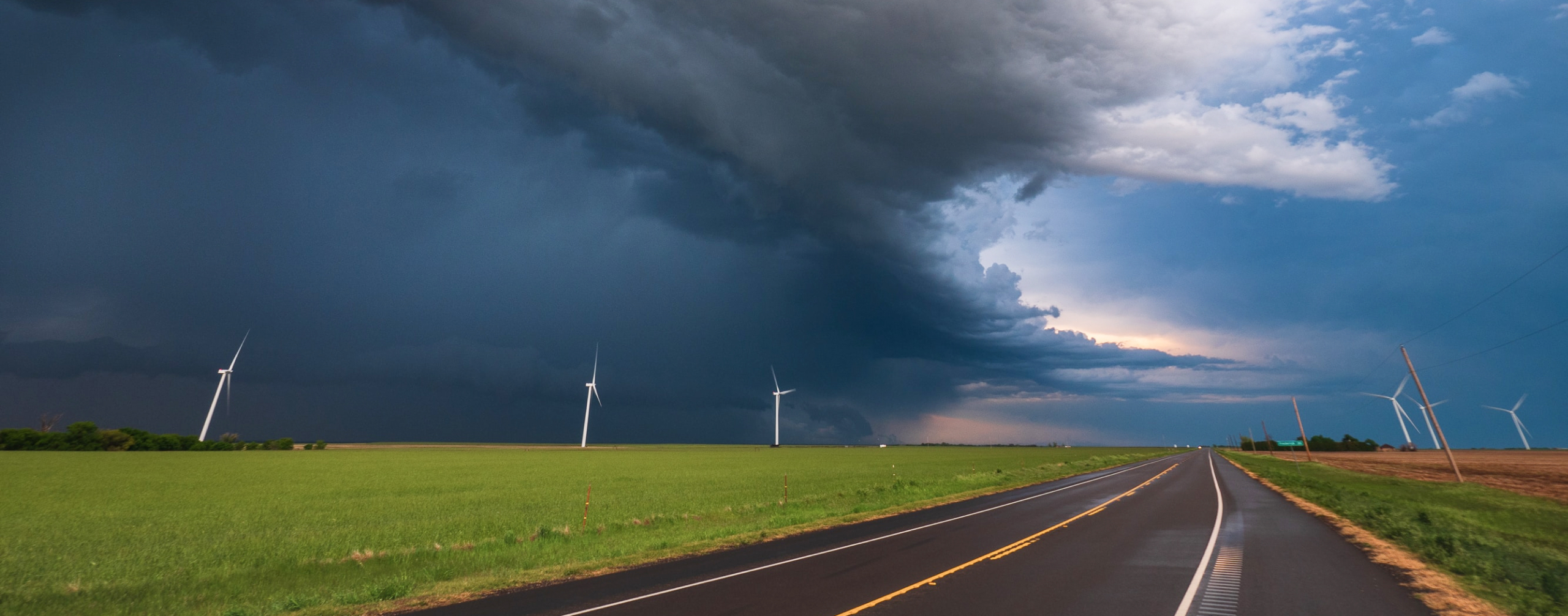 How to Weather an Economic Storm