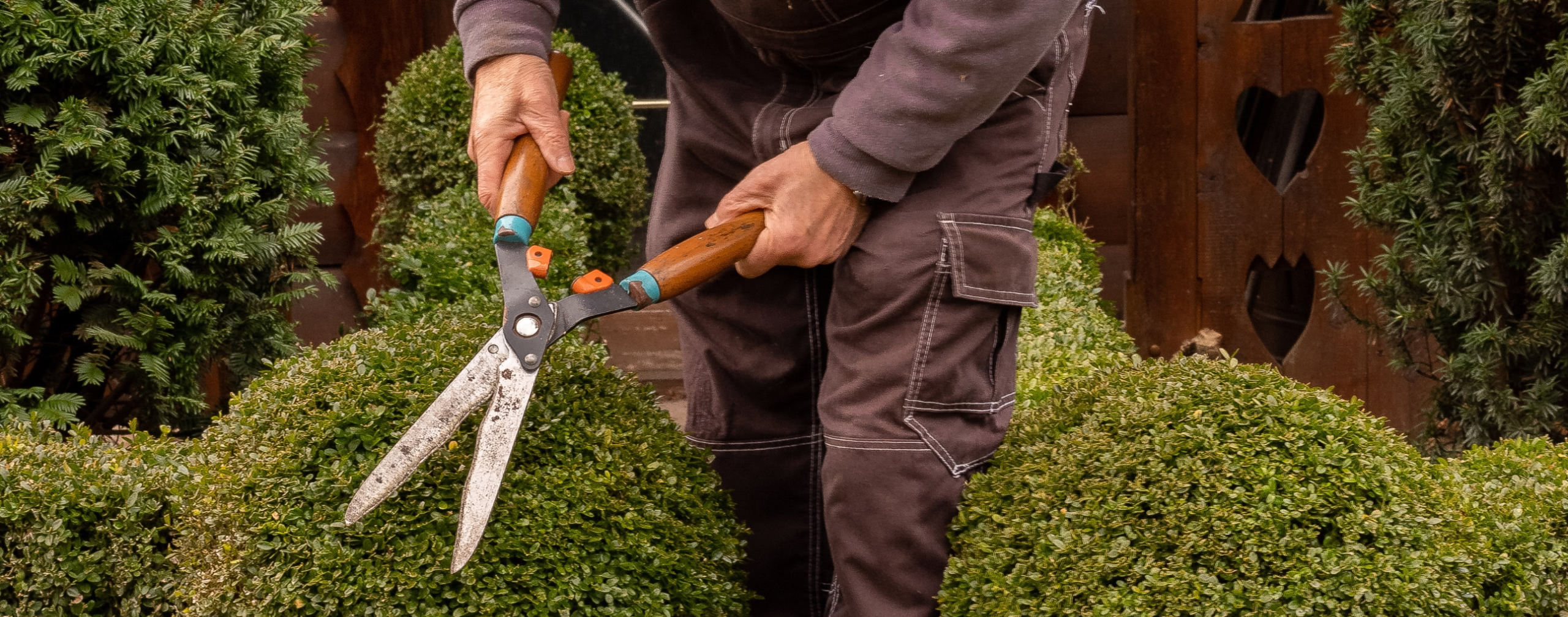 Trim Your Budget