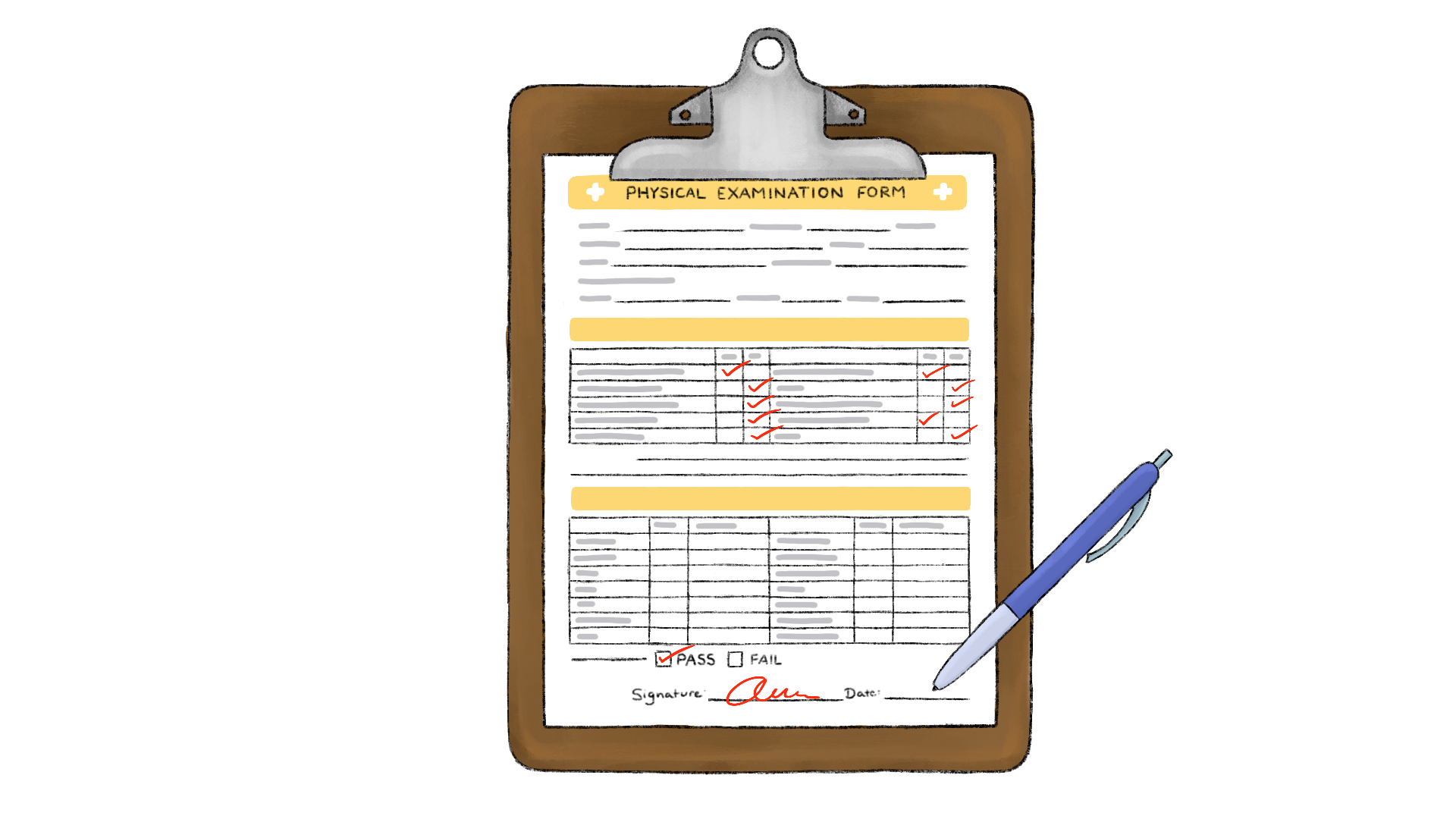 illustration of physical exam form